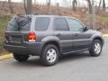 2003 Dark Shadow Grey Metallic Ford Escape XLT V6 4WD  photo #8