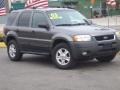 2003 Dark Shadow Grey Metallic Ford Escape XLT V6 4WD  photo #23