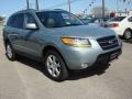 2008 Platinum Sage Hyundai Santa Fe Limited  photo #7