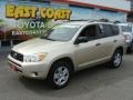 2007 Savannah Metallic Toyota RAV4 4WD  photo #3