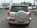 2007 Savannah Metallic Toyota RAV4 4WD  photo #5