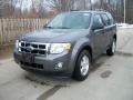 2011 Sterling Grey Metallic Ford Escape XLT V6 4WD  photo #1