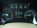 Chaparral Leather Gauges Photo for 2011 Ford F150 #47392007