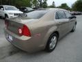 2008 Amber Bronze Metallic Chevrolet Malibu LS Sedan  photo #12