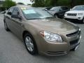 2008 Amber Bronze Metallic Chevrolet Malibu LS Sedan  photo #14