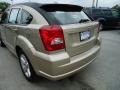 Light Sandstone Metallic - Caliber SXT Photo No. 10