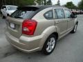 Light Sandstone Metallic - Caliber SXT Photo No. 12