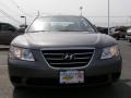 Willow Gray - Sonata GLS Photo No. 2