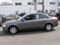 Willow Gray - Sonata GLS Photo No. 4