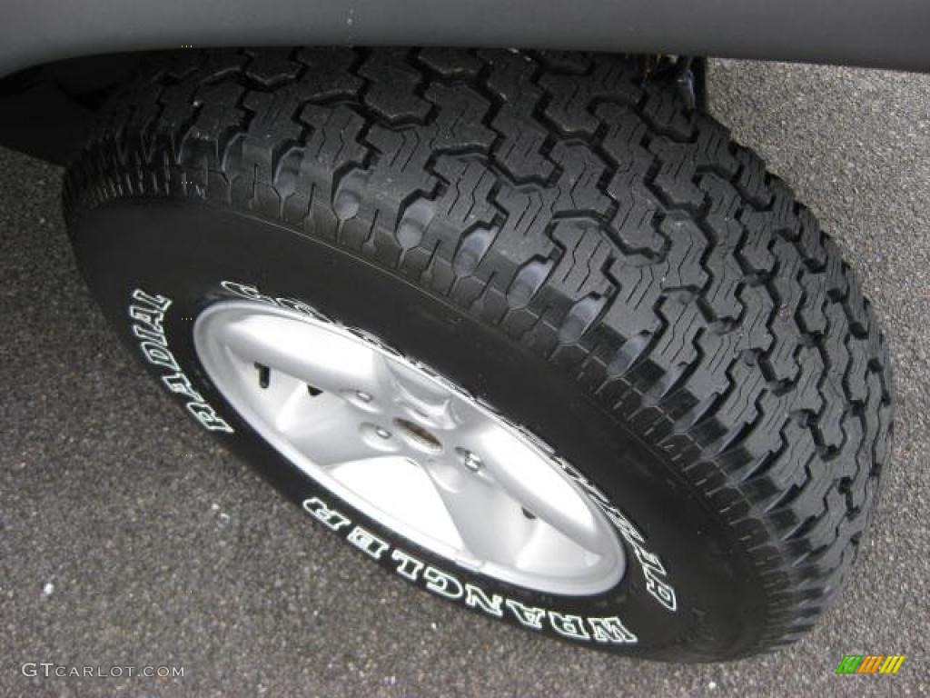 2004 Wrangler Sport 4x4 - Solar Yellow / Dark Slate Gray photo #10