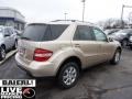 2006 Desert Silver Metallic Mercedes-Benz ML 350 4Matic  photo #7