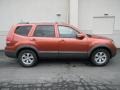 Copperhead - Borrego LX V6 4x4 Photo No. 2
