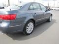 2009 Willow Gray Hyundai Sonata Limited V6  photo #12