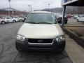 2004 Gold Ash Metallic Ford Escape XLT V6 4WD  photo #4