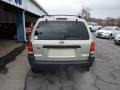 2004 Gold Ash Metallic Ford Escape XLT V6 4WD  photo #9