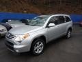 2009 Pure Platinum Metallic Suzuki XL7 Luxury AWD #47402479