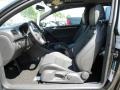 Carbon Steel Gray Metallic - GTI 2 Door Autobahn Edition Photo No. 11