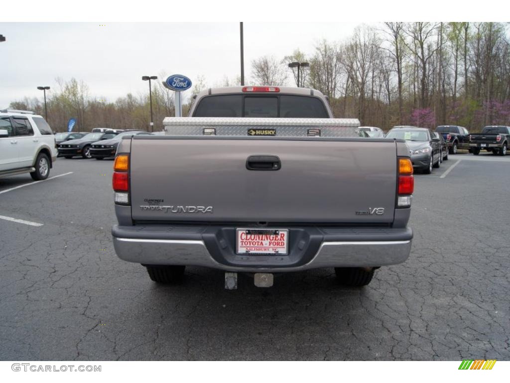 2002 Tundra SR5 Access Cab - Thunder Gray Metallic / Oak photo #4