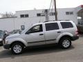 2005 Bright Silver Metallic Dodge Durango ST 4x4  photo #4