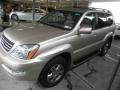 Savannah Beige Metallic - GX 470 Photo No. 3