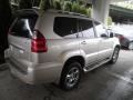 Savannah Beige Metallic - GX 470 Photo No. 6