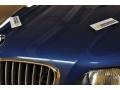 2001 Topaz Blue Metallic BMW X5 4.4i  photo #22
