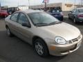 2002 Light Almond Pearl Metallic Dodge Neon   photo #1