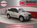 Titanium Metallic - RAV4  Photo No. 1