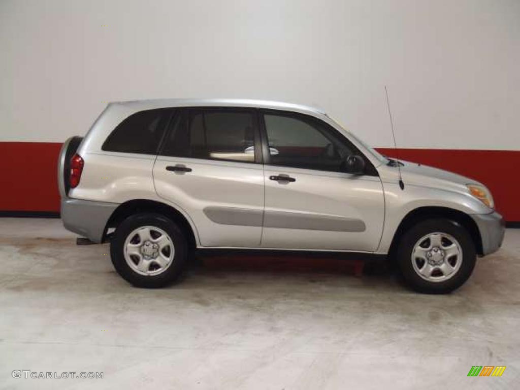 2004 RAV4  - Titanium Metallic / Dark Charcoal photo #2