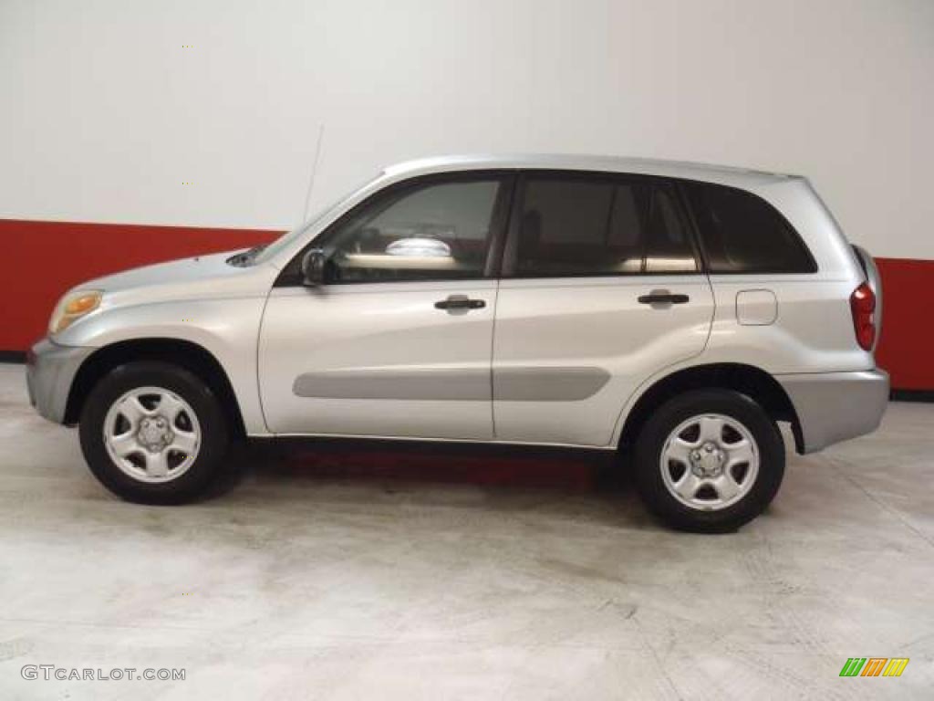 2004 RAV4  - Titanium Metallic / Dark Charcoal photo #6