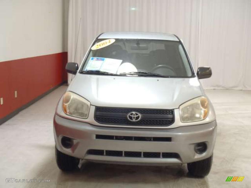 2004 RAV4  - Titanium Metallic / Dark Charcoal photo #8