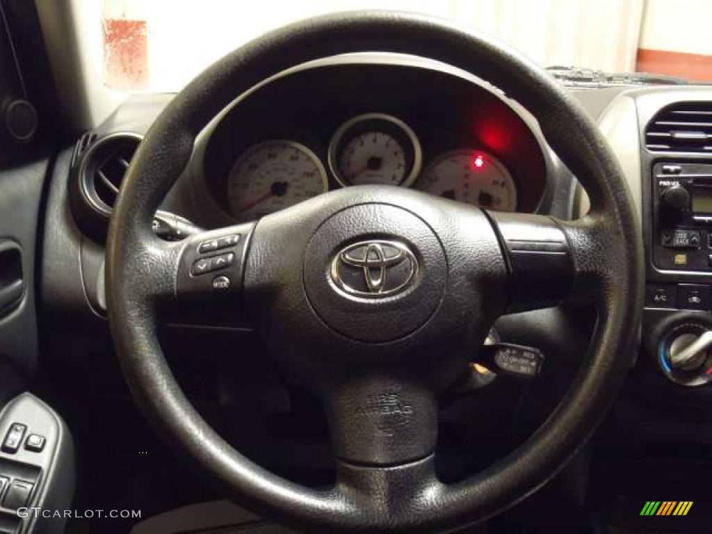 2004 RAV4  - Titanium Metallic / Dark Charcoal photo #12