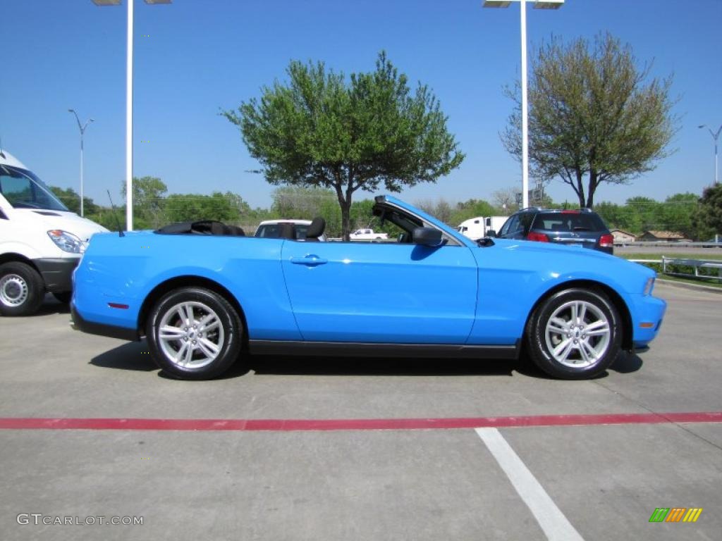 2010 Mustang V6 Convertible - Grabber Blue / Charcoal Black photo #6