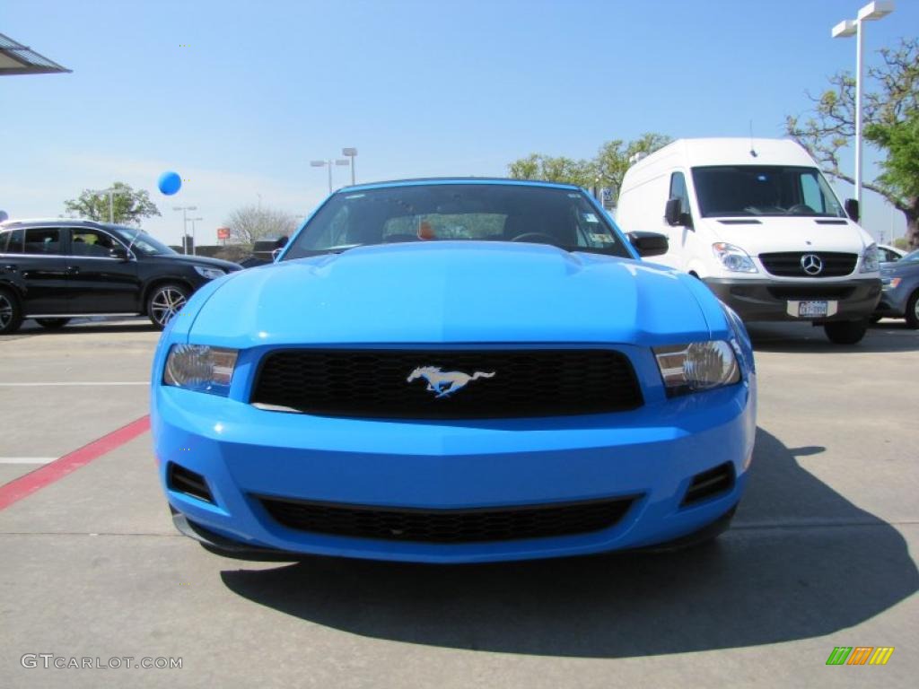 2010 Mustang V6 Convertible - Grabber Blue / Charcoal Black photo #8