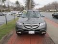 Nimbus Gray Metallic - MDX Technology Photo No. 2