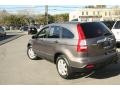 2009 Urban Titanium Metallic Honda CR-V EX 4WD  photo #10