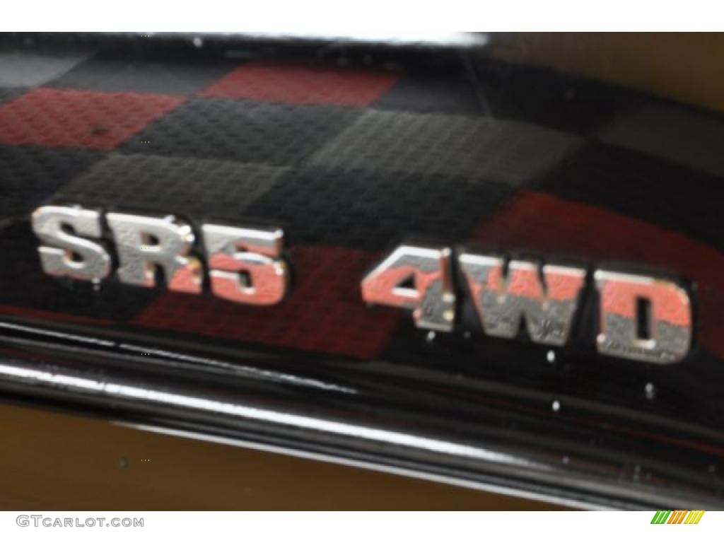 2006 4Runner SR5 4x4 - Black / Stone Gray photo #20