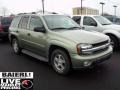 Silver Green Metallic - TrailBlazer LT 4x4 Photo No. 1