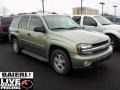 2003 Silver Green Metallic Chevrolet TrailBlazer LT 4x4  photo #1