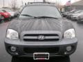 2006 Black Obsidian Hyundai Santa Fe GLS 3.5 4WD  photo #9