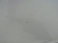 Billet Silver Metallic - Pilot EX-L Photo No. 11