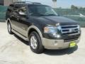 2008 Stone Green Metallic Ford Expedition Eddie Bauer  photo #1