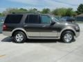 2008 Stone Green Metallic Ford Expedition Eddie Bauer  photo #2