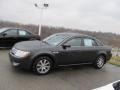 Alloy Grey Metallic - Taurus SEL Photo No. 4