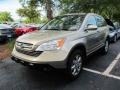 Borrego Beige Metallic - CR-V EX-L 4WD Photo No. 4