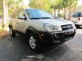 Sahara Silver - Tucson GLS V6 4x4 Photo No. 1