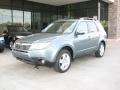 Sage Green Metallic - Forester 2.5 X L.L.Bean Edition Photo No. 8