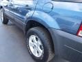 2006 Norsea Blue Metallic Ford Escape XLT V6  photo #4