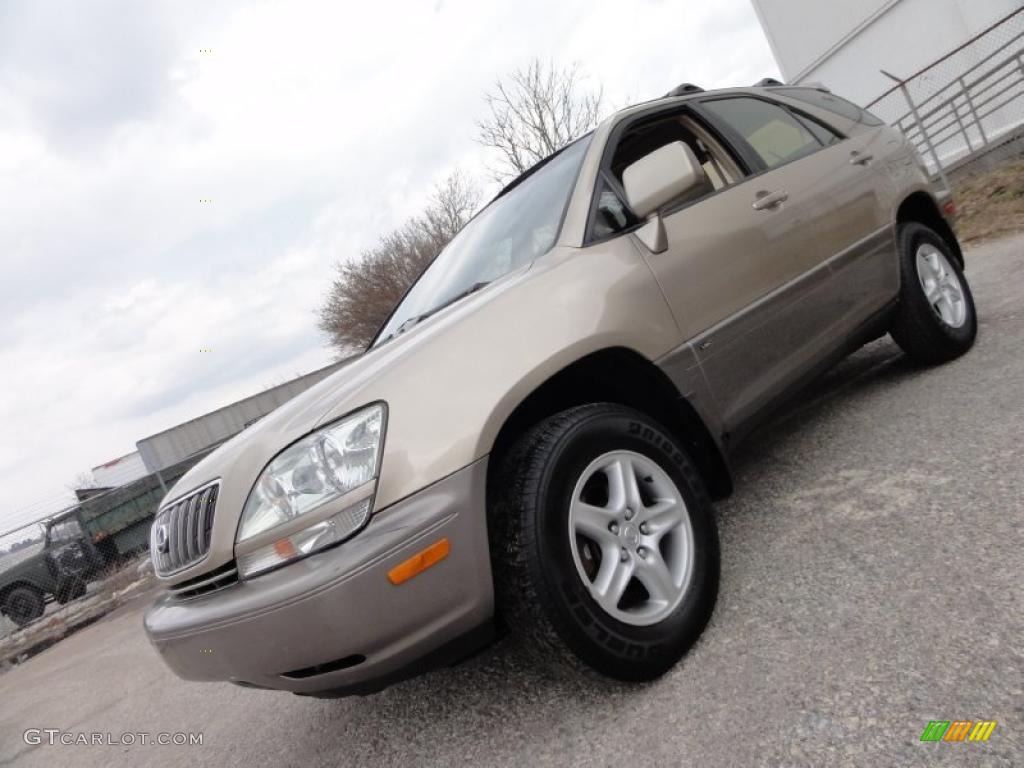 2001 RX 300 AWD - Burnished Gold Metallic / Ivory photo #1