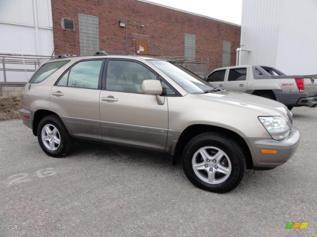 2001 RX 300 AWD - Burnished Gold Metallic / Ivory photo #6